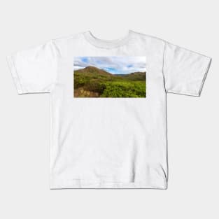 Spring Denali Landscape Kids T-Shirt